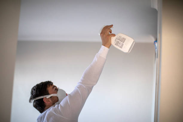 Best Residential Mold Removal  in Deephaven, MN